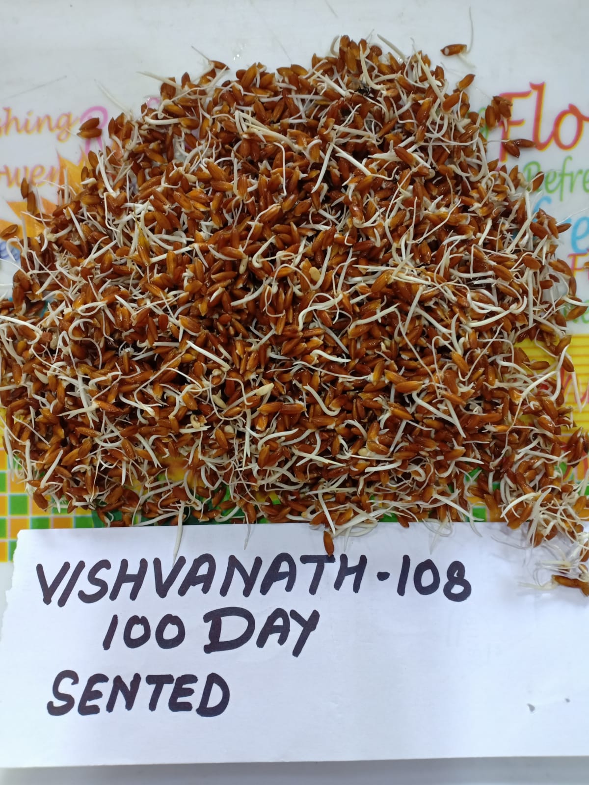 KBT VISHWANATH-108 (SENTED) PADDY 3Kg